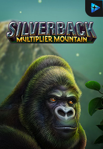 Bocoran RTP Silverback Multiplier Mountain foto di RTP PIN4D